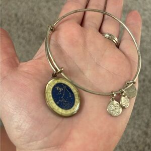 Alex and Ani Capricorn bracelet
